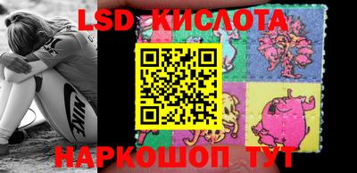 эйфоретик Можга