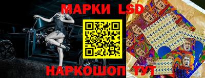 эйфоретик Можга