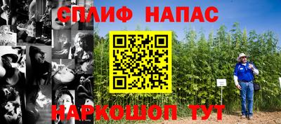 эйфоретик Можга